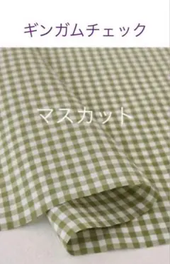 40×20cm♪マスカット☆ギンガムチェック check&stripe