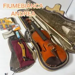 Fiumeblanca Andrea 1992 4/4 Full Size Violin Tiger Maple
