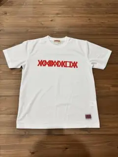 アニマリア　メンズtシャツ