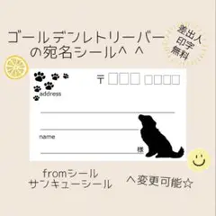 ゴールデンレトリーバーの宛名シール50枚☆差出人印字無料★