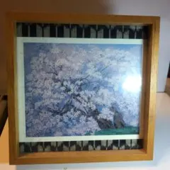 中島千波 桜の風景画 2010年製 木製フレーム