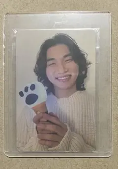 テソン D-LITE ペンライト トレカ