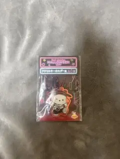 サンリオキャラクターズ HALLOWEEN2024 ポチャッコ アクキー