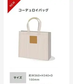 オリックスバファローズ コーディロイバッグ