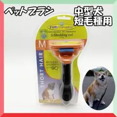 Item thumbnail for item 70cc4919-b79f-4410-9c95-7b80339d8194