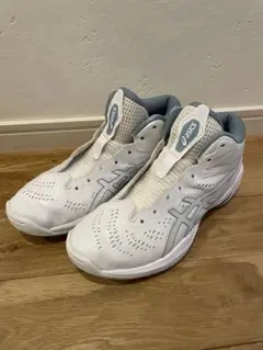 Item thumbnail for item 526ffa3b-4b63-4e6c-b7d3-52ea5294033e