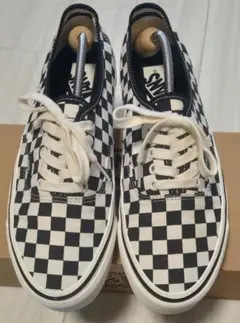 VANS(ヴァンズ)/MTE オーセンティック