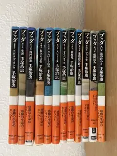 ブッダ 第12巻