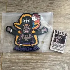 ONE PIECE ティーチ　マグネット、ラバー