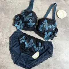新品　ELENE X-Rated エレーヌ　ブラジャーショーツセット　D70