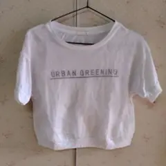 URBAN GREENING ホワイト Tシャツ Lサイズ