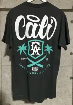 デットストック DYSEONE カリフォルニア　ヤシの木　Tシャツ　チャコール