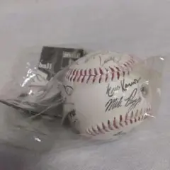 major League ベースボールプレーヤーズプリントサイン入り硬式ボール