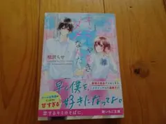 新装版 キミじゃなきゃダメなんだ　恋愛小説　野いちご文庫　相沢ちせ
