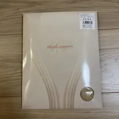 SYMMETRY 高サポート ストッキング LL-LL