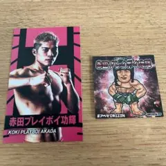RIZIN 赤田ABEMAシール&カードセット