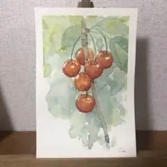 透明水彩　さくらんぼ　郵便ハガキ