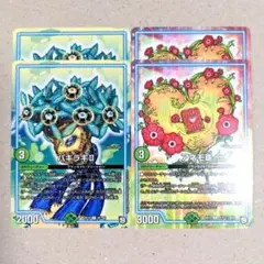 パキラキⅡ　2枚　アネモⅢ　2枚