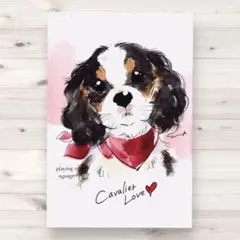 イラスト 原画 ポストカード 絵 【キャバリア】159