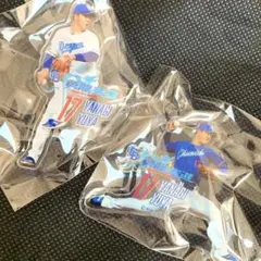 中日ドラゴンズ 柳裕也 選手 勇龍アクリルピンバッチ カプセルトイ 2点セット