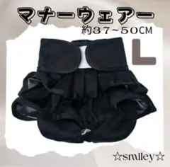 Item thumbnail for item 84b7f112-18cf-47d2-8af7-101557820d38