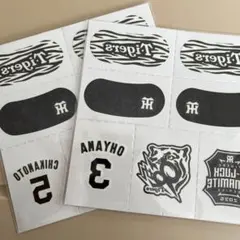 阪神タイガース　アイブラックシール　2枚セット