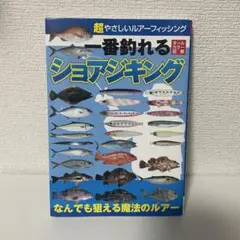 超やさしいルアーフィッシング一番釣れるショアジギング