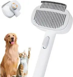 Item thumbnail for item f297f604-2b58-4509-b329-76e9cf5c16de