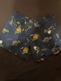 THE NORTH FACE サーフパンツ（タグ付き）