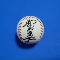 野村克也 直筆サインボール 南海ホークス 楽天イーグルス