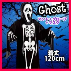 Item thumbnail for item 477b04f5-8d9e-4b31-8249-5d1fa6c8316f