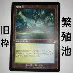 【MTG】繁殖池 旧枠399