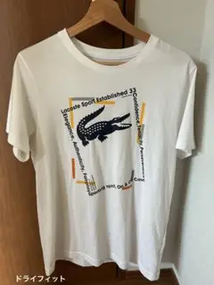 LACOSTE ワニロゴ Tシャツ Mサイズ　ホワイト　ラコステスポーツ