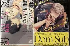 商業BL漫画 まとめ売り