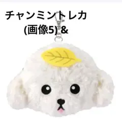 Item thumbnail for item 86595424-2b72-42ea-9673-cb083c2ff276