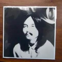 国内盤　HOSONO HOUSE COVERS / 細野晴臣　LPレコード