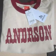 &RSON アンダーソン Tシャツ Mサイズ ともやん POPUPSTORE限定