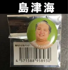 大相撲 ★ 島津海 ★ 国技館すも〜る限定／力士缶バッジ