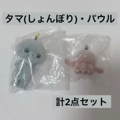 教育番組　ガチャガチャ　タマ・パウル