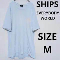 古着 SHIPS EVERYBODY WORLD 半袖Tシャツ トップス USA