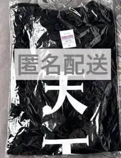 天下統一Tシャツ