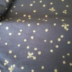 Item thumbnail for item 80280e2f-475f-4042-8481-2d516909e5e0