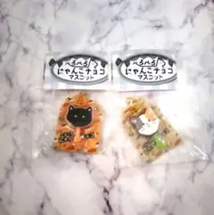 ぺろぺろにゃんこチョコマスコット ガチャ ブリティッシュショートヘア 三毛猫