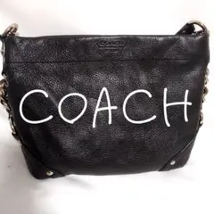COACH コーチ ハンドバック カーリー