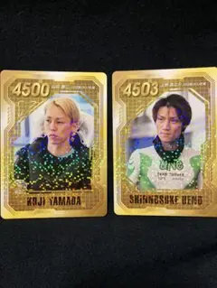 ボートレース 上野真之介 直筆サイン入り SGジャンパー 2025年最新】上野真之介の人気アイテム - メルカリ