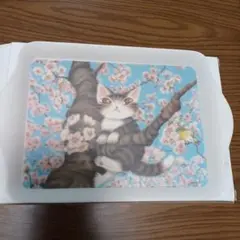 わちふーるど ダヤン ミニトレイ