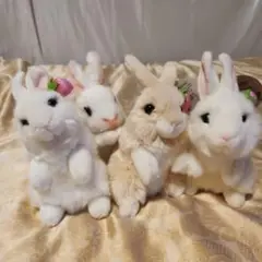 AURORA ウサギ ぬいぐるみセット