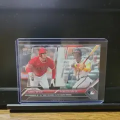 Item thumbnail for item 8135c77d-43c9-45af-8f87-29d01f5f4e6f