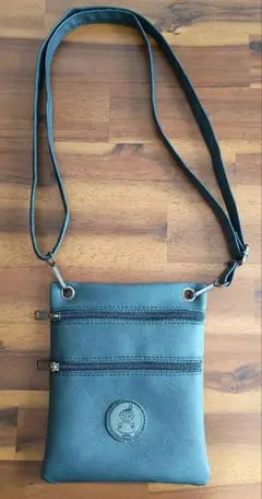 Item thumbnail for item 2d2dff42-af66-4698-a3c4-8673682c5bd4