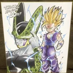 Item thumbnail for item 2faf4a7c-2d1e-4a52-990f-b2898491af90